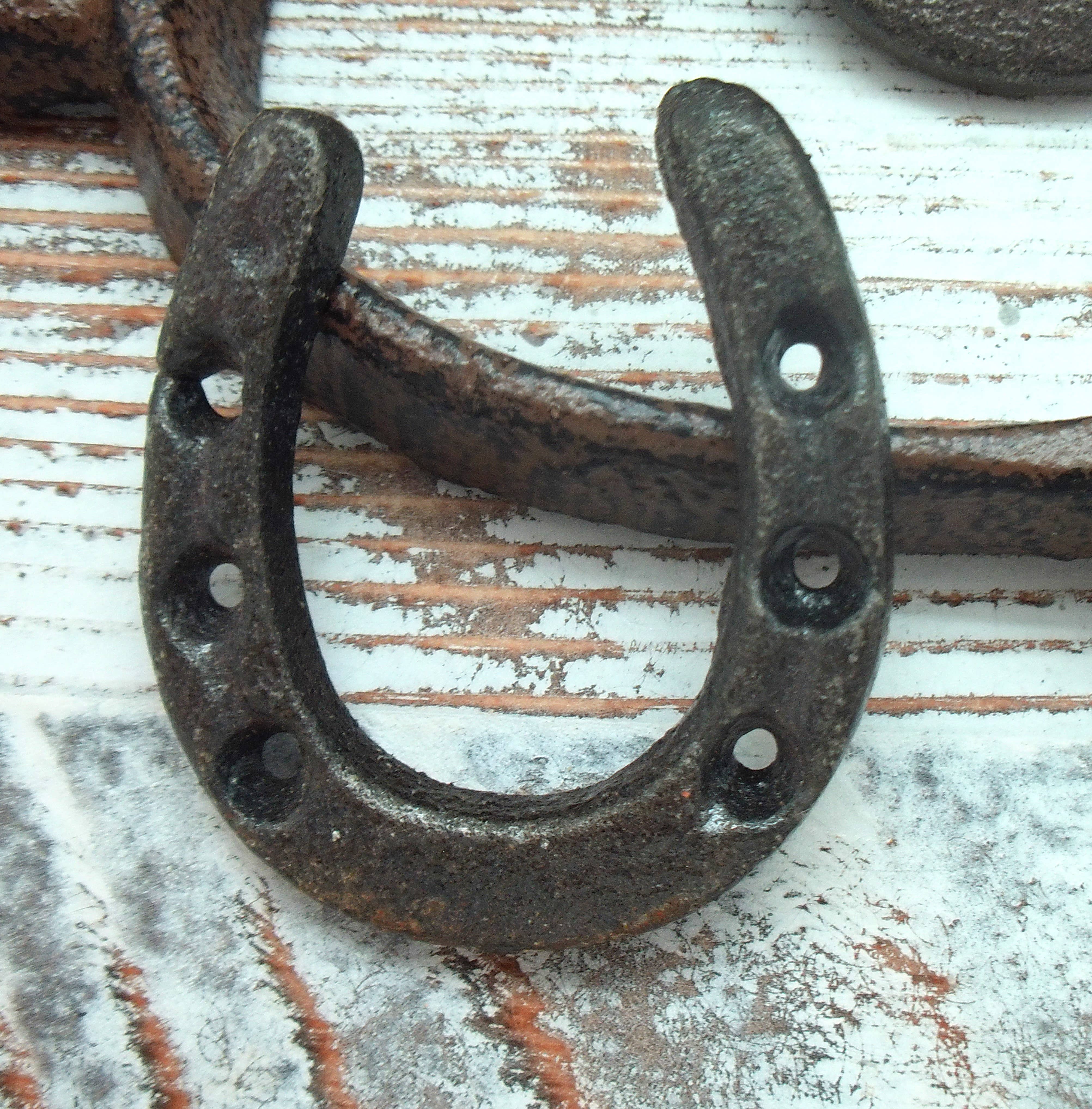 The Lucky Horse Company - Wholesale Magnet - Lucky Mini Horseshoe Magnets (set of 12)1