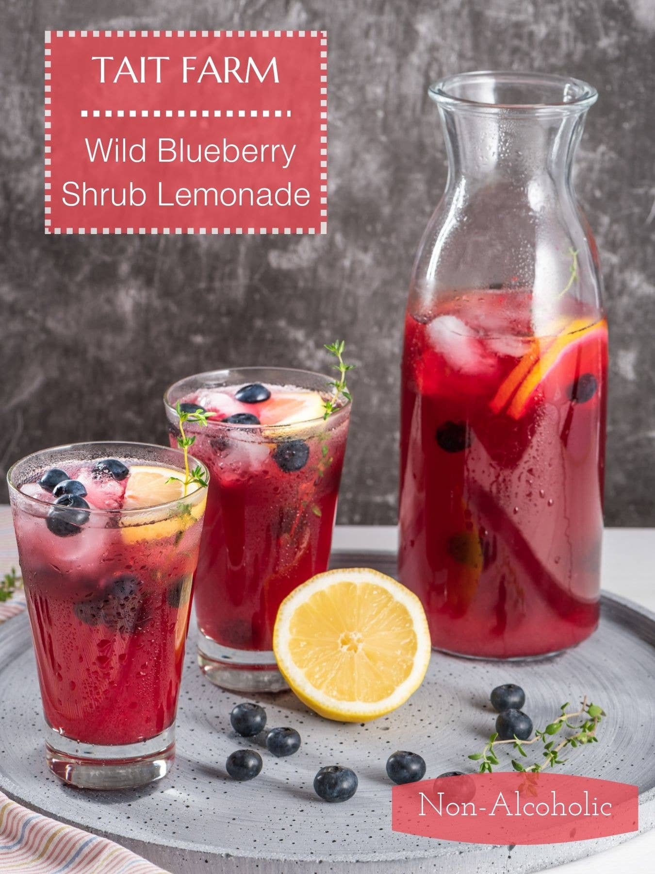 Tait Farm Foods - Vente Sodas/boissons gazeuses - Arbuste aux bleuets sauvages5