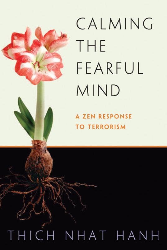 Microcosm Publishing & Distribution - Wholesale Politics & Current Events - Calming the Fearful Mind: A Zen Response to Terrorism