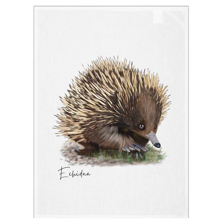 Taylor Hill Scarves & Co - Wholesale Tea towel - Echidna Design Australian Cotton Tea Towel