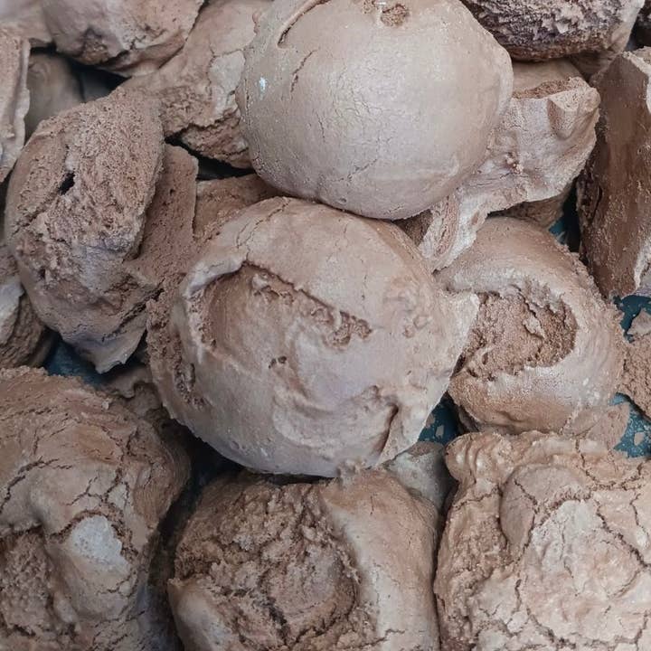 Lumberjack's Arctic Treats - Venta al por mayor Helados/sorbetes - Bolas de helado de chocolate