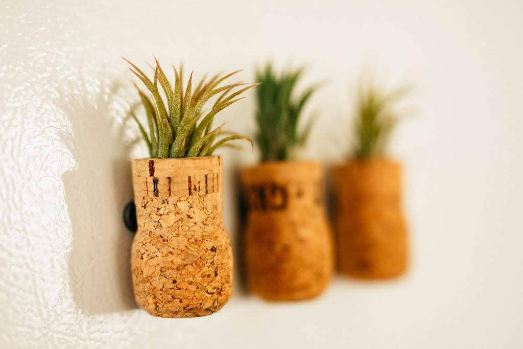 The Simply Crafty Shop - Wholesale Magnet - Magnetic Wine/ Champagne Cork Air Plant Holder20