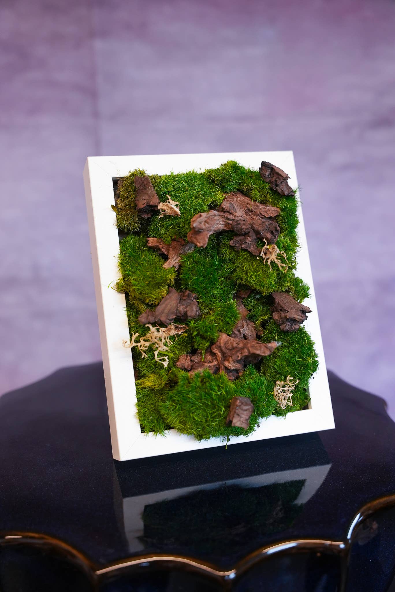 TERRART NYC - Venta al por mayor Jardinera de pared - Muro de Musgo Lienzo de la Naturaleza2