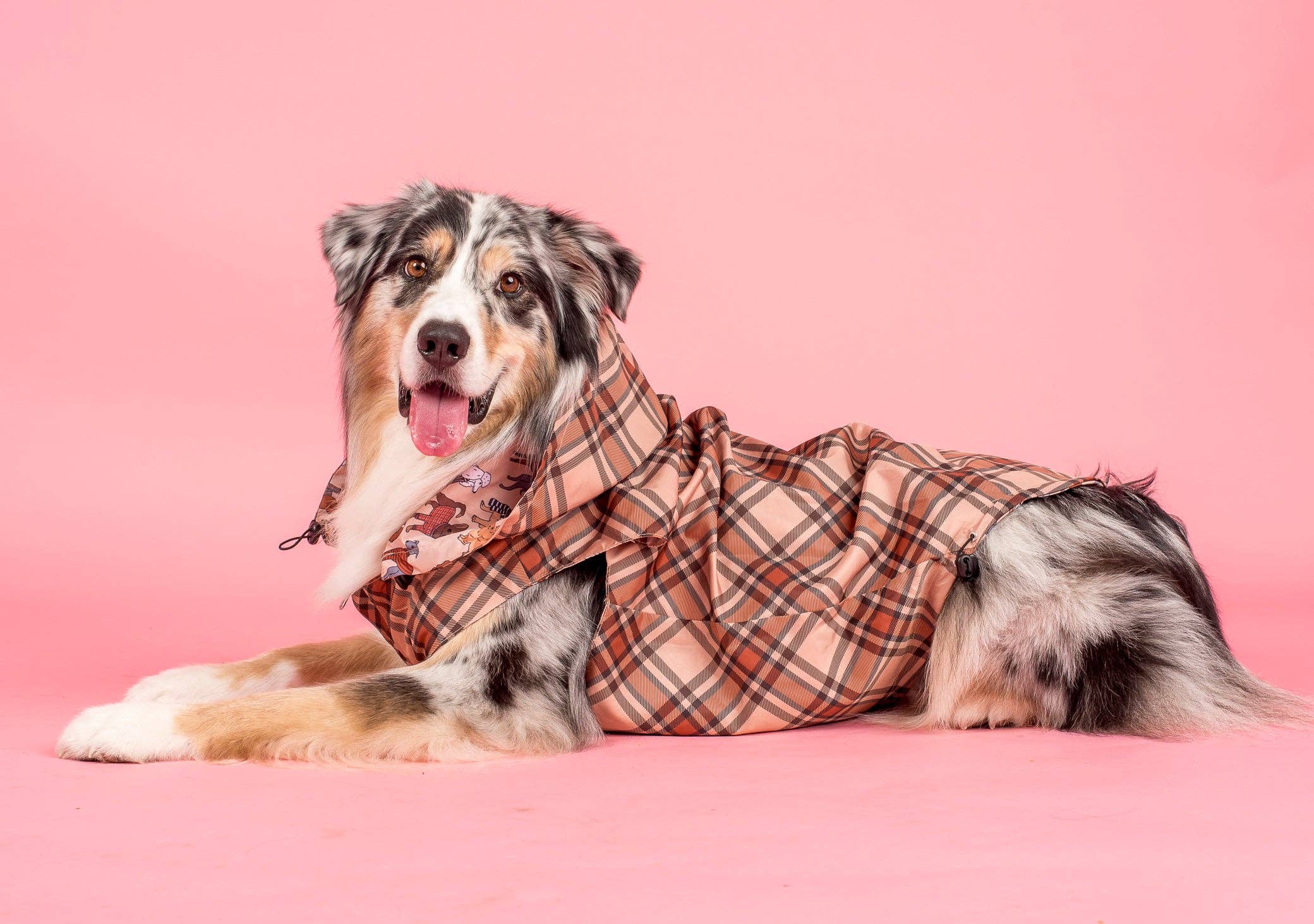 Pablo & Co. Boutique - Wholesale Pet raincoat – Dog - Winter Pooches / Kensington: Raincoat10