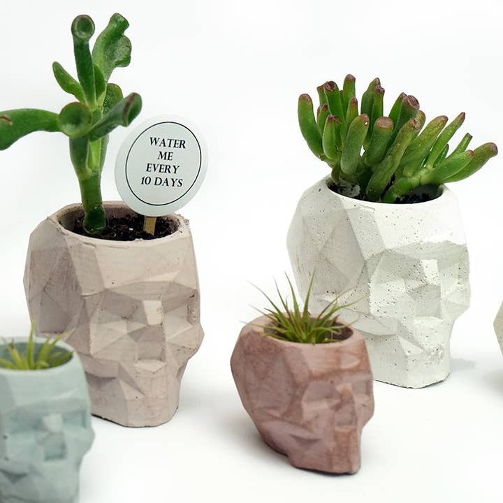 NATURAL BY HAGELSIEB – wholesale Plant pot – CONCRETE MINI SKULL6