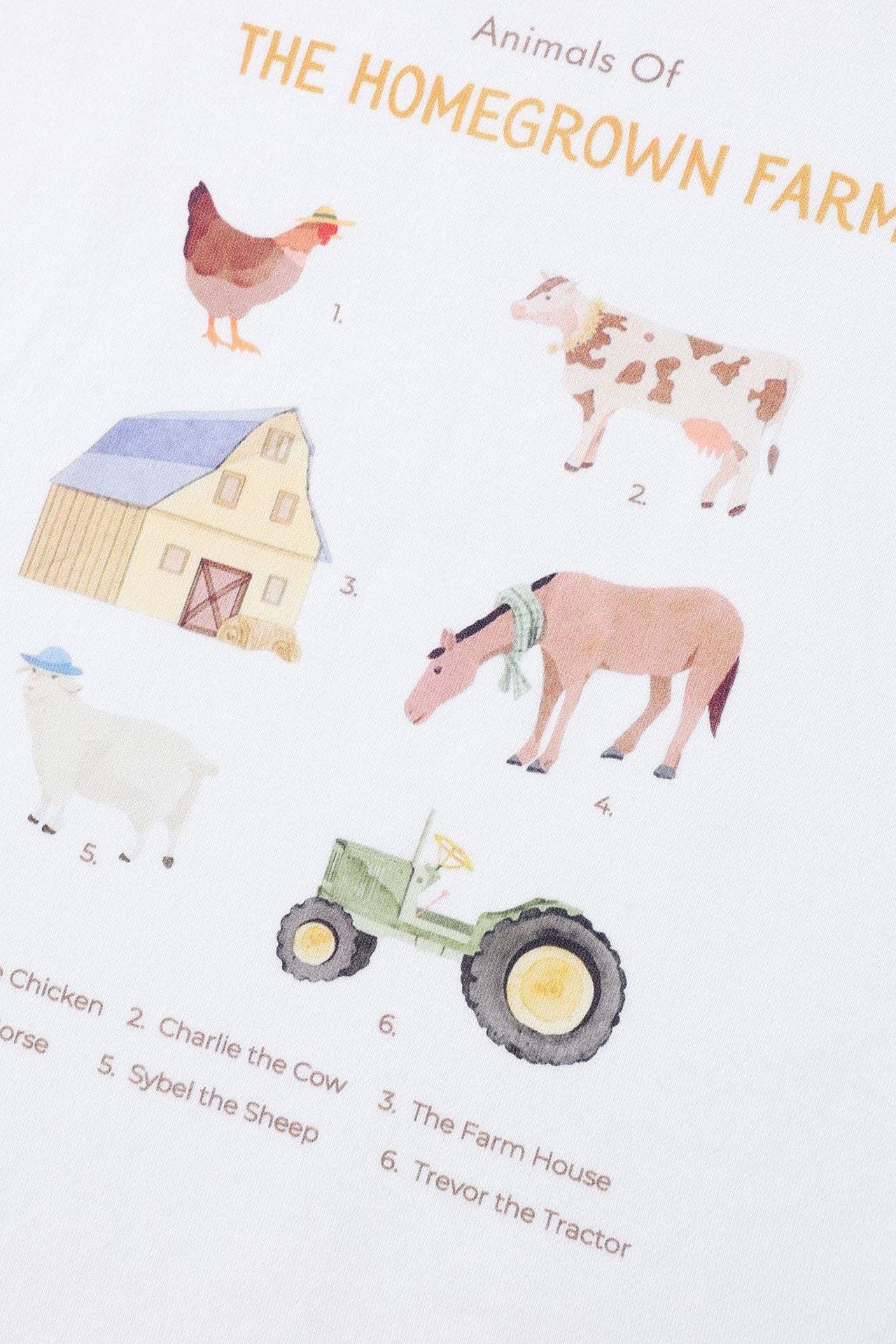 Homegrown Kids - Wholesale Screen-printed t-shirt – Kids - Barnyard Jersey Tee3