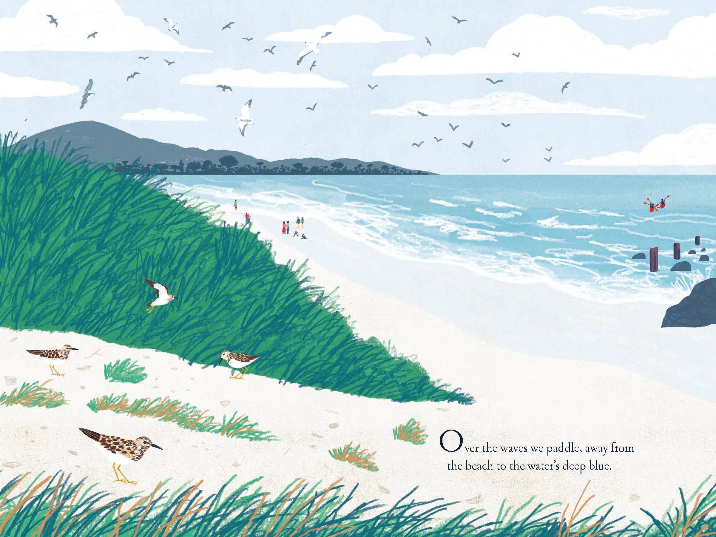 Amicus Publishing - Wholesale Early Reader Book (6-8) - Over and Under the Waves1