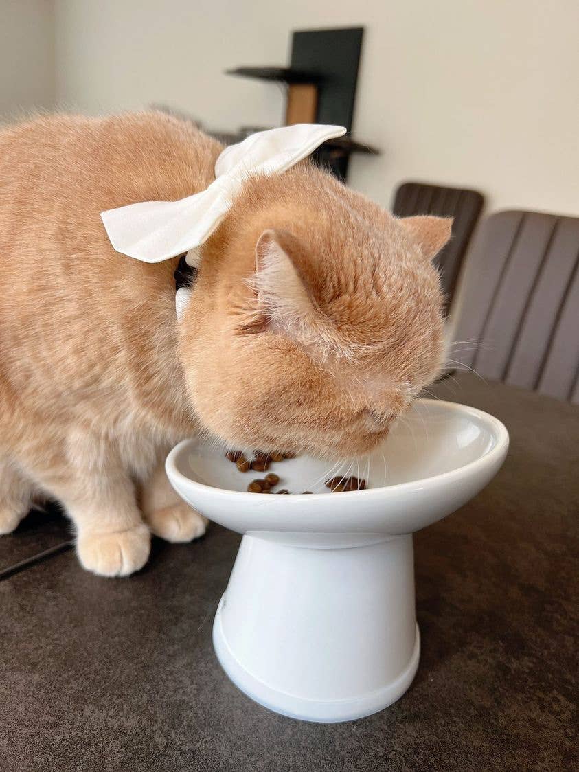 MOON-X USA, INC. - Vendita all'ingrosso Ciotola - Cani e gatti - Ciotola per cibo per gatti rialzata inclinata senza stress11