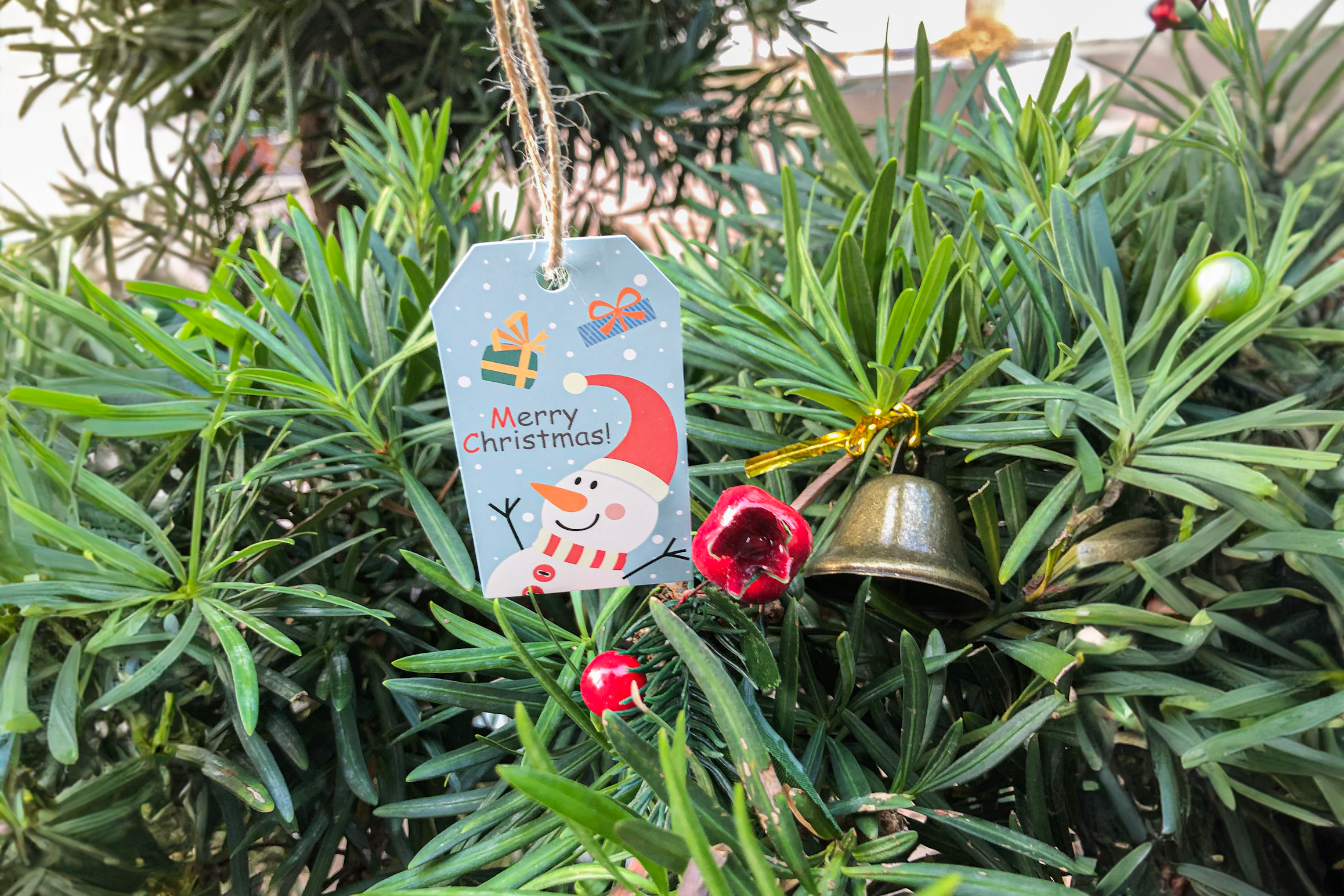 Plantish - Wholesale Gift Tag Label - Frosty Blue Christmas Tag, Sticker | Christmas Card & Label10