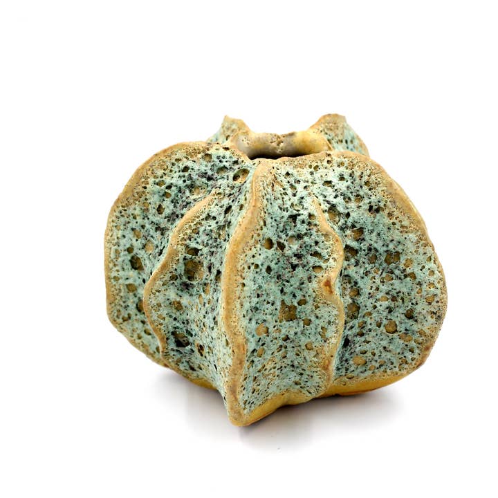 Art Floral Trading LLC - Venta al por mayor Pufs/esponjas de baño - SRI119G Esponja de Baño de Lufa Pequeña Verde Musgo2