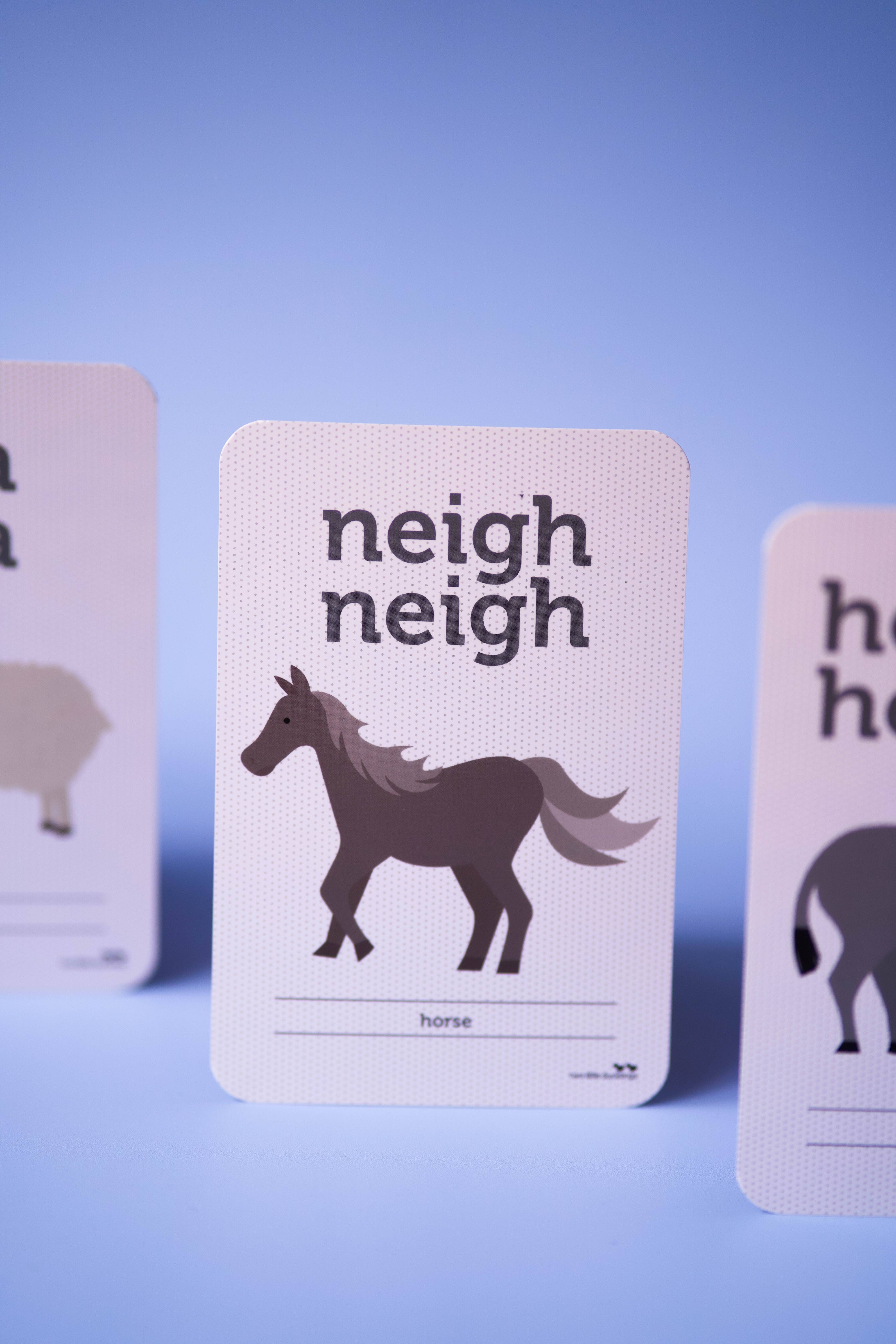 Two Little Ducklings - Wholesale Learning cards – Child & baby - Animal Sound Flash Cards6