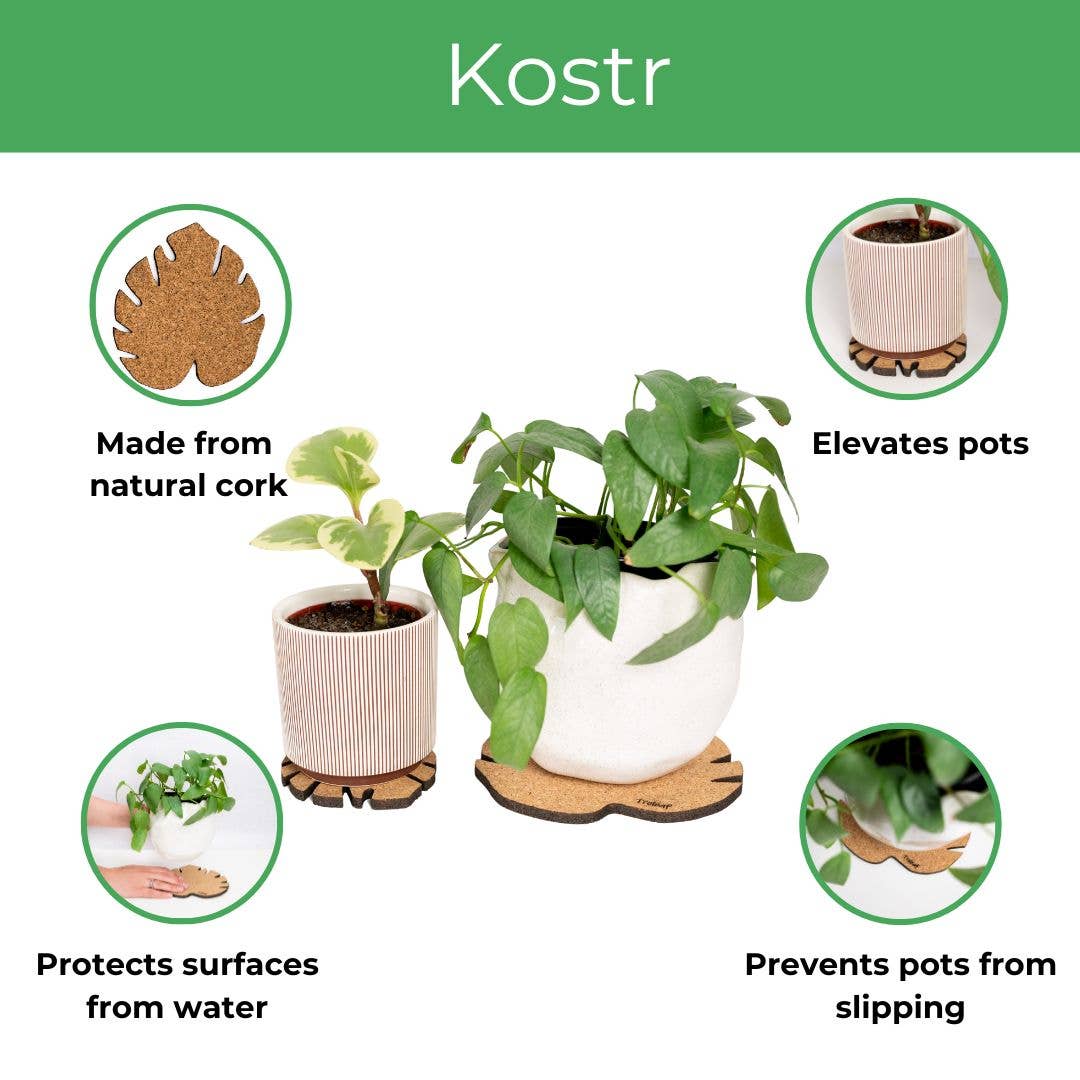 Treleaf - Wholesale Plant pot - Kostr™ - Monstera Leaf-shaped  cork plant pot coaster12