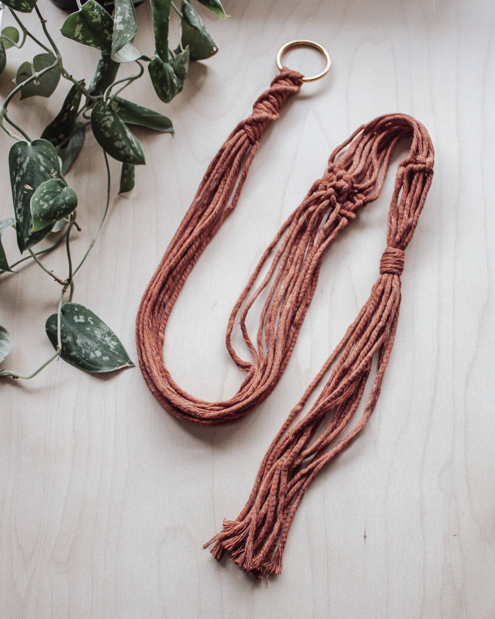 Modern Bo Studio - Wholesale Hanging Planter - Basic Macrame Plant Hanger9