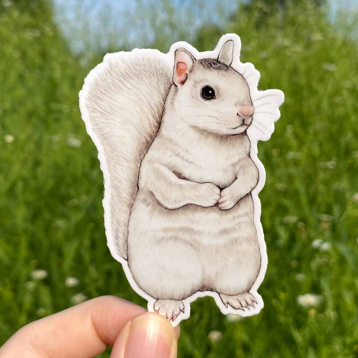 Adesivo in vinile resistente alle intemperie con scoiattolo bianco per la vendita all'ingrosso da parte di Allison Stoiser Art