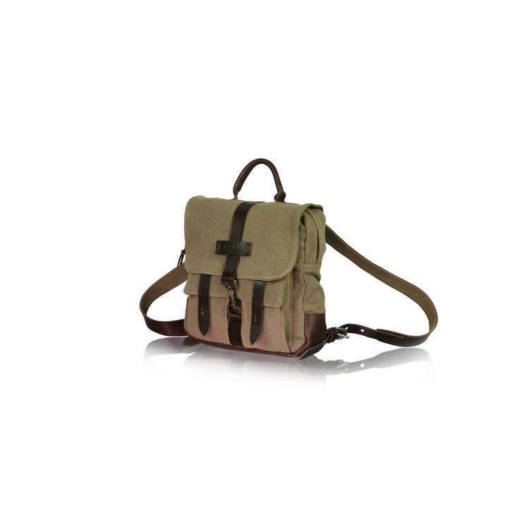 Zacky - Salvia per la vendita all'ingrosso da parte di AFAR