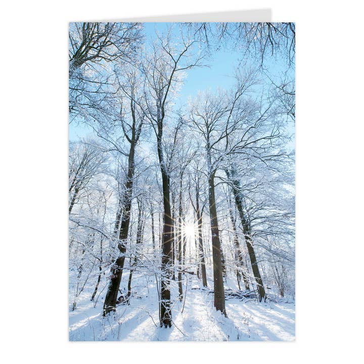 Tarjeta plegable "Bosque invernal radiante" para venta al por mayor de paruspaper. nutzfeine papeterie