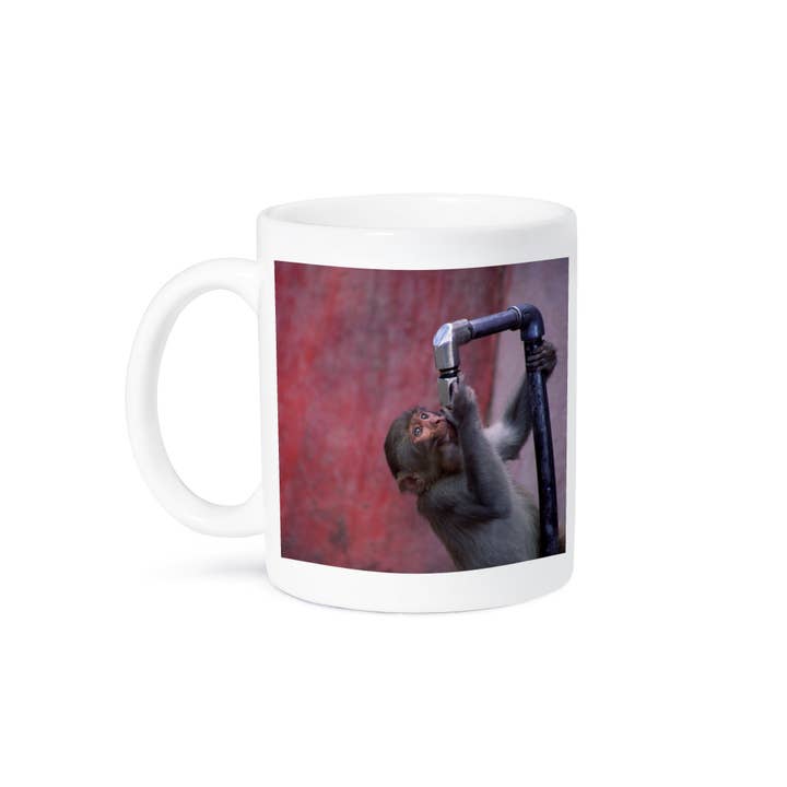 3dRose - Wholesale Coffee Mug - 3dRose, Monkeys drinking water, Jakhu temple, Shimla, India , Mug8