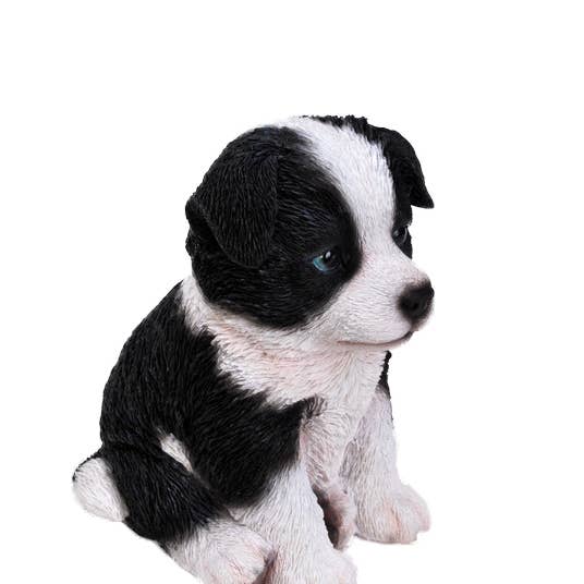 Hi-Line Gift Ltd. - Wholesale Decorative Figurine - Detailed Sitting Border Collie Puppy Decorative Figurine