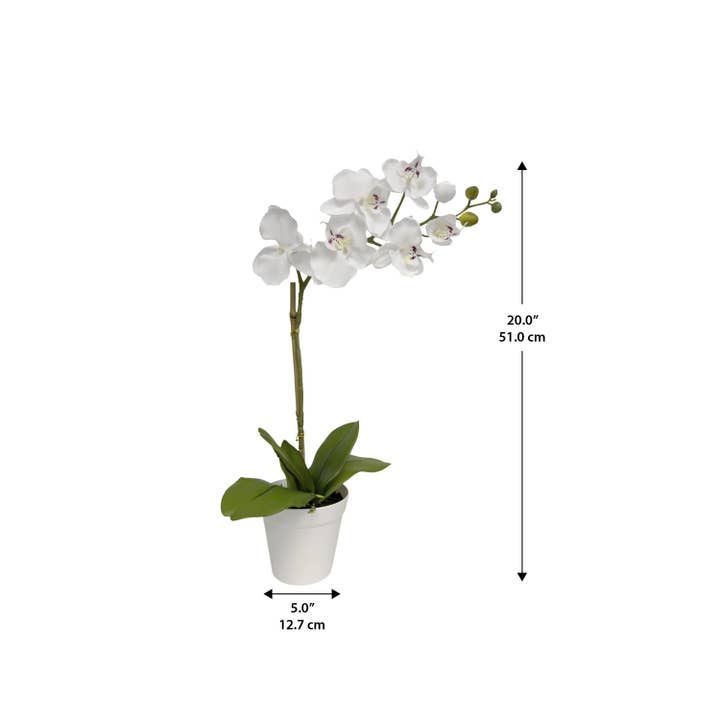 Algreen - Wholesale Artificial Plant - 20" Orchid White (5" Pot; 20"H)1
