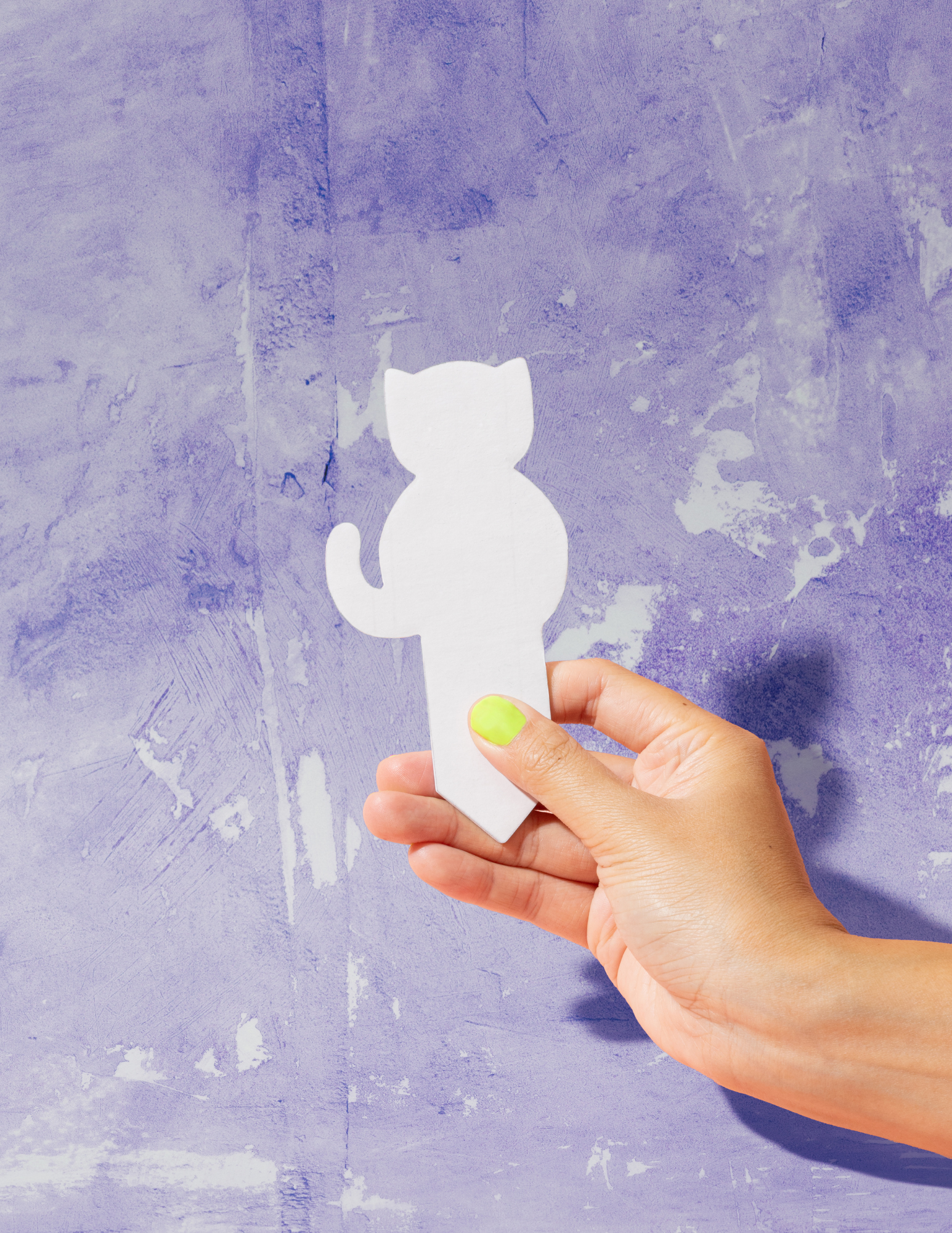 PlantDoc - Wholesale Garden Tool - Cat PlantDoc: Color-Change Plant Moisture Meter2