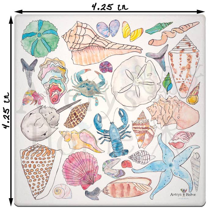 Sea Shell Collector Conch Scallop Absorbent Stone Coaster for wholesale by Avery's Home