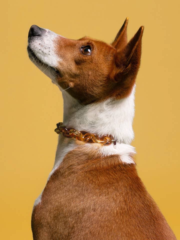 GLIEDERKETTE AUS HARZ für den Großhandel von BAND OF HEARTBREAKERS