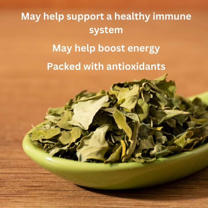 Olon Bue - Wholesale Tincture - Moringa (Moringa Oleifera) Leaf Liquid Extract Organic 1oz 5