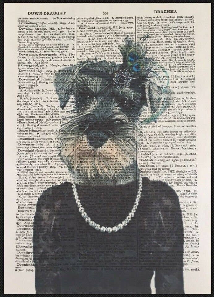 Parksmoonprints – Engroshandel Kunsttryk – Miniature Schnauzer Ordbog Print - Dyr Vægkunst0