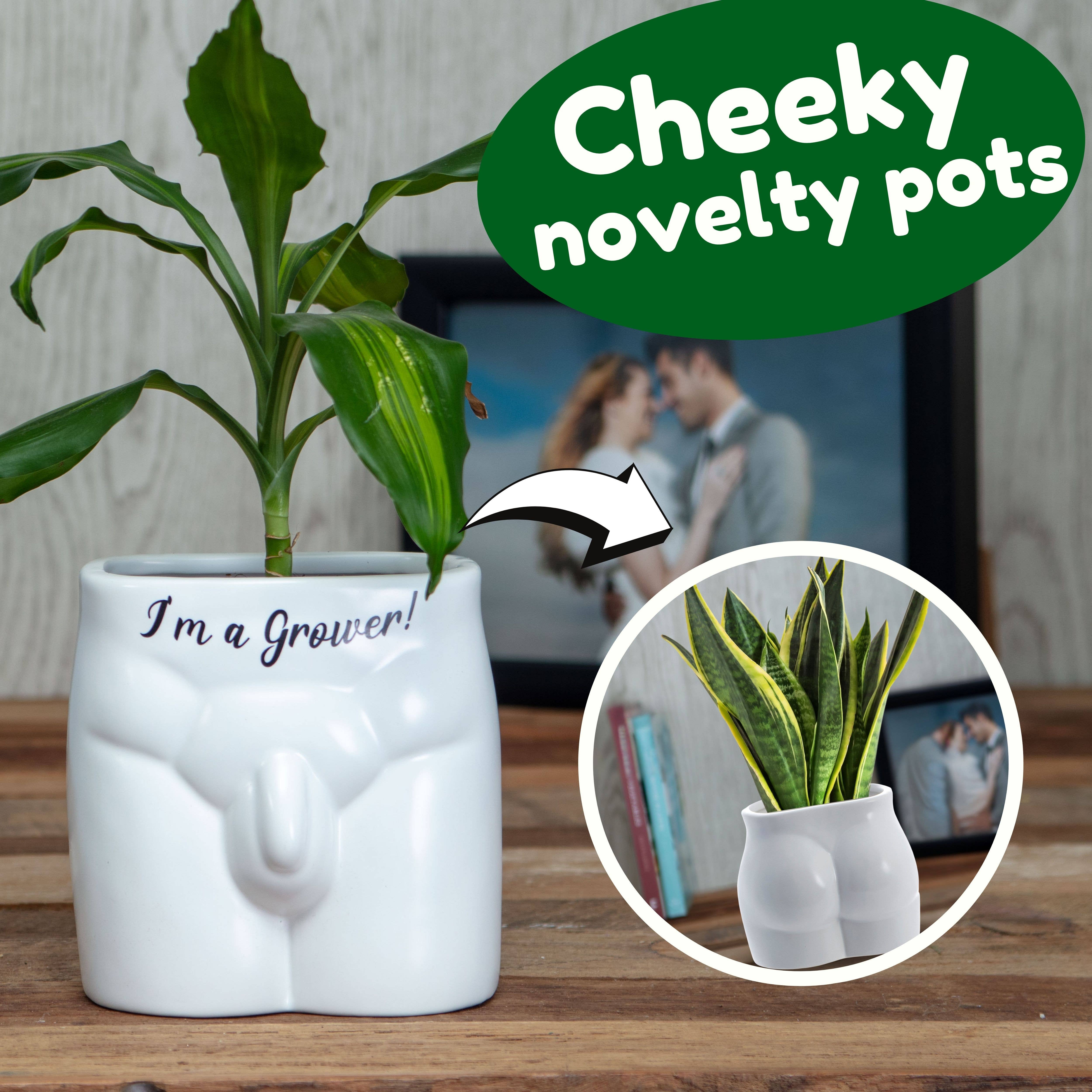 Boxer Gifts - Wholesale Plant Pot - I'm A Grower Put Some Plants On - Novelty Indoor Planter1