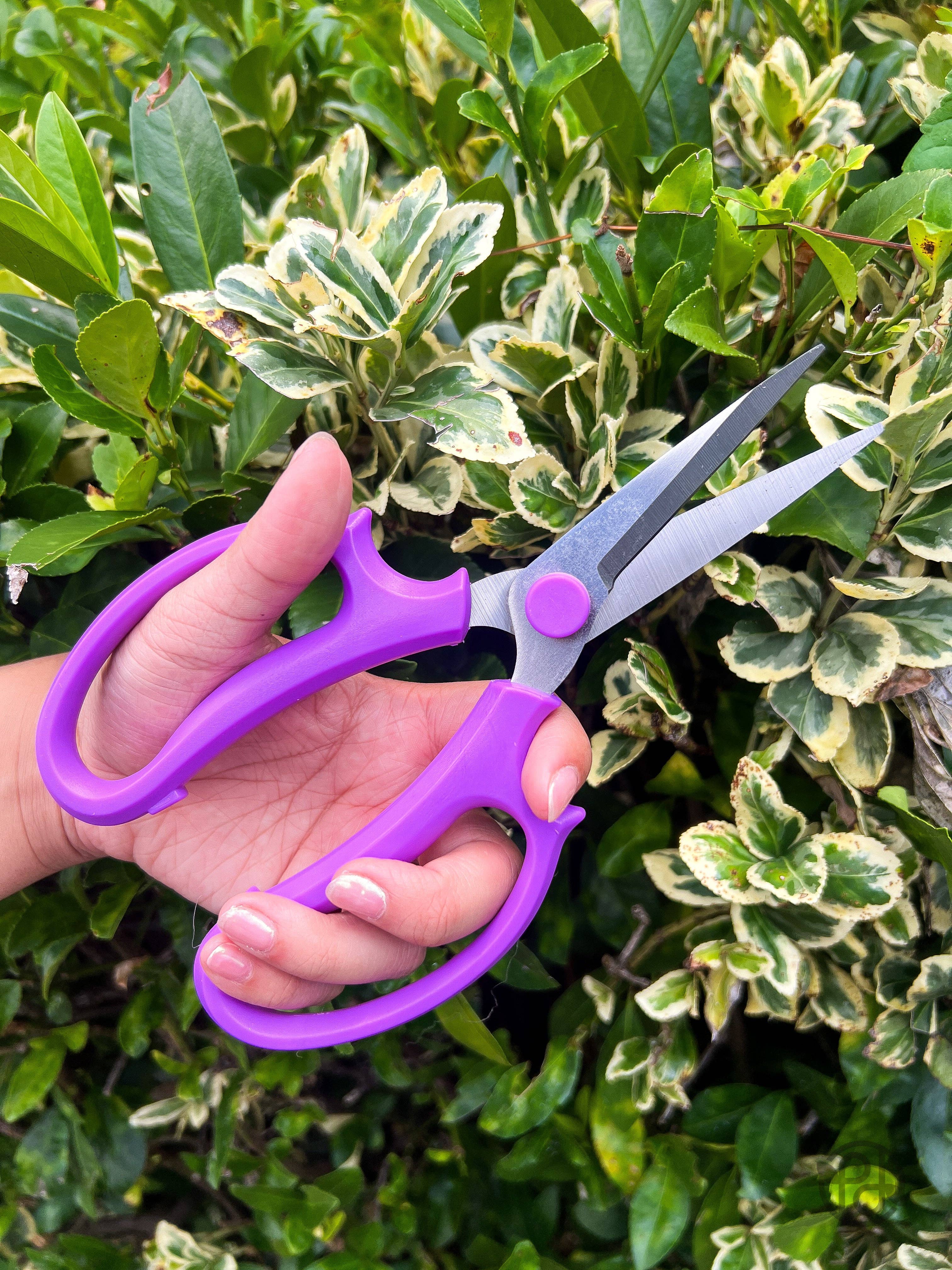 Propagation Diaries - Vente Outil de jardinage - Sécateurs4