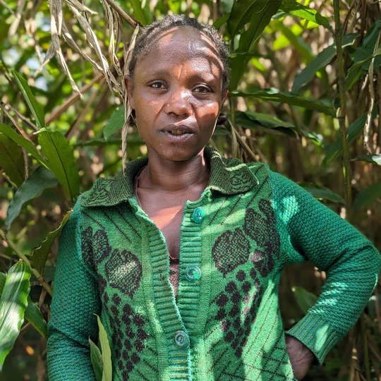 Burlap & Barrel - Wholesale Dried Spice - Grains of Paradise - Single Origin Spice & Seasoning4