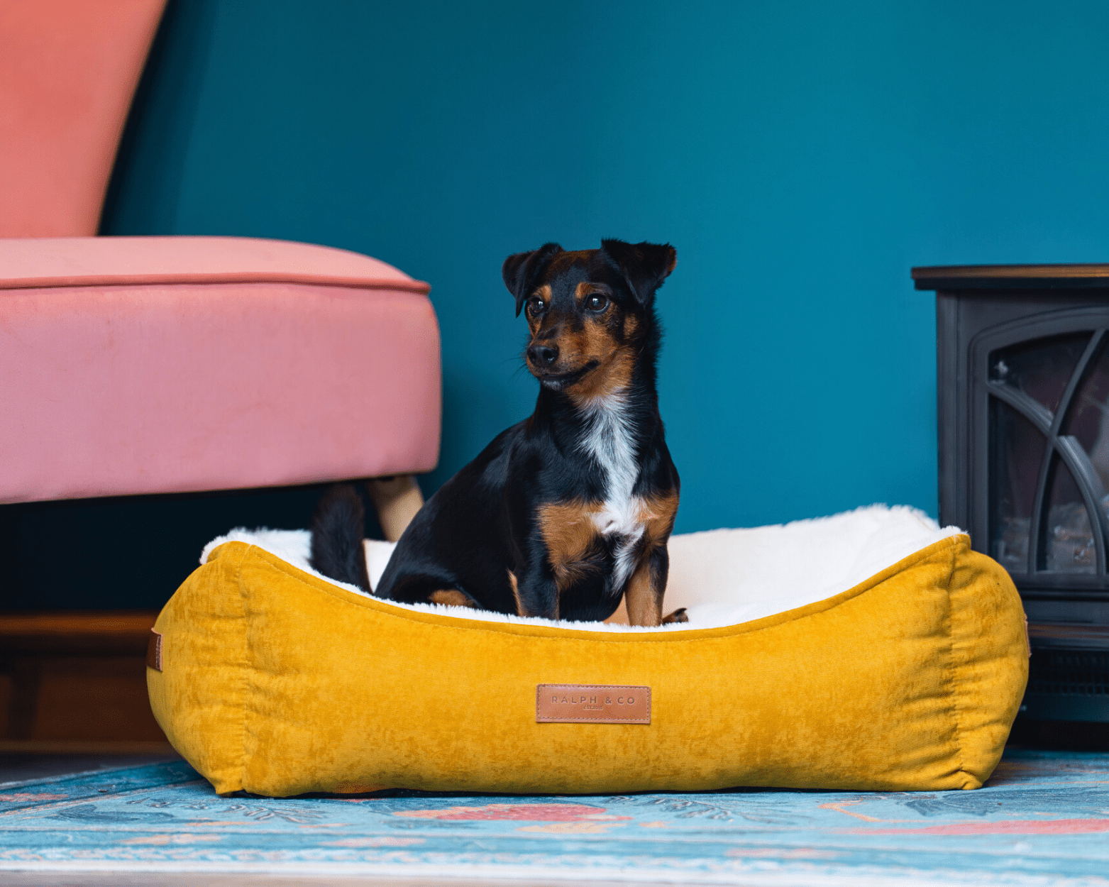 Ralph & Co – wholesale Pet bed – Dog – Luxury Velvet Dog Bed With Removable Covers | Sandringham1