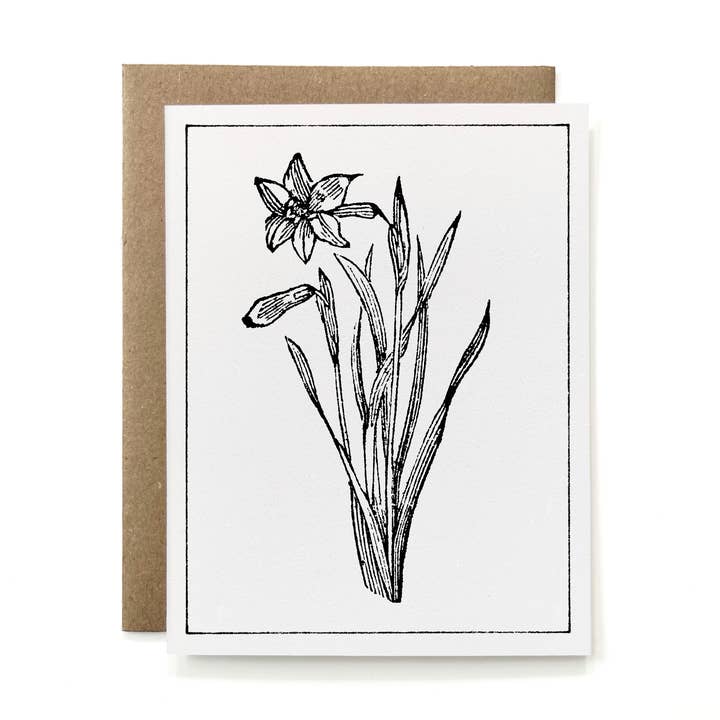 100% recycelte botanische Schwarzweiß-Karte — Narzissenblüte für den Großhandel von Knapping Press