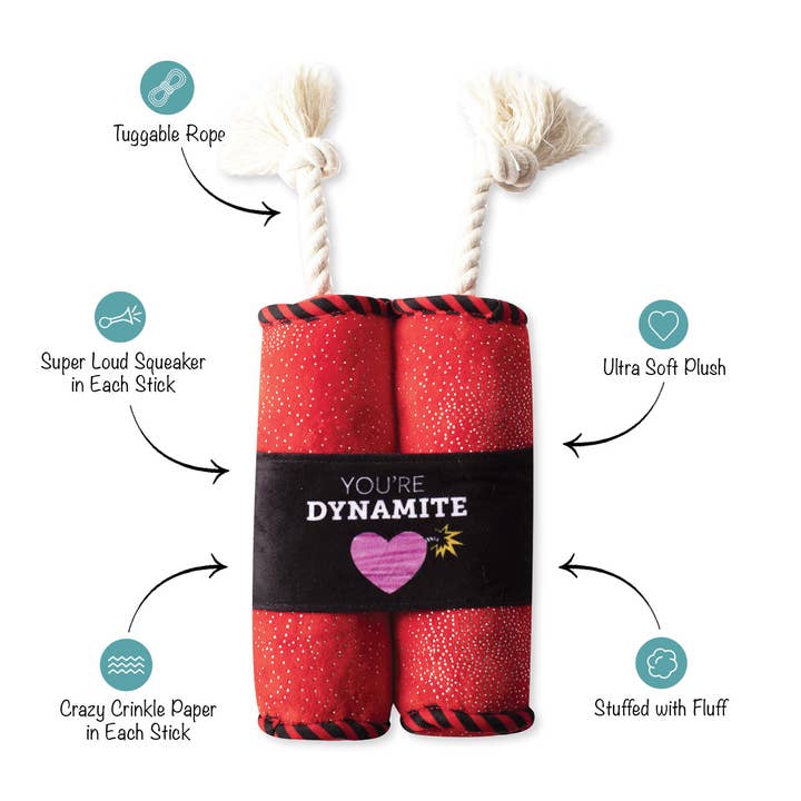YOU’RE DYNAMITE for wholesale by Petshop by Fringe Studio