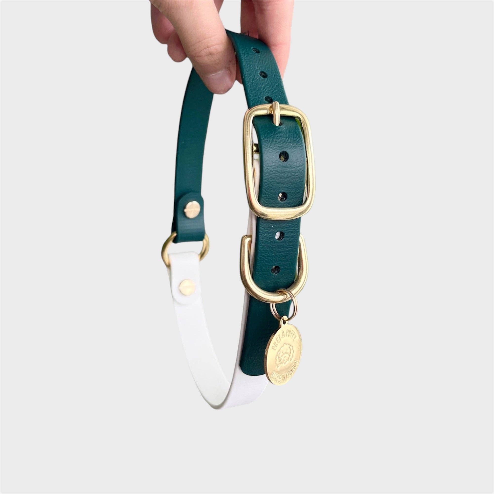 PRÊT-À-PUPPY - Vente Collier – chien - Collier original : créez le vôtre9