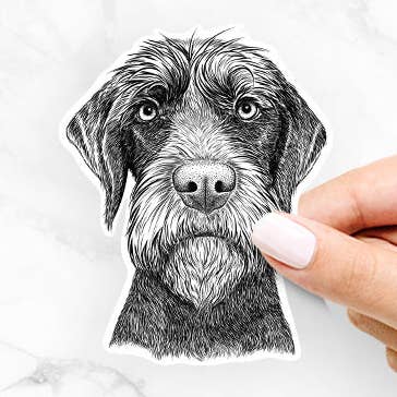 Oakley the Pudelpointer - Decal Sticker for wholesale by Inkopious