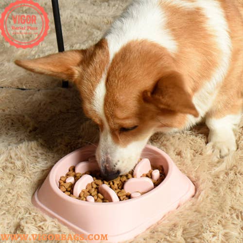 VIGOR - Wholesale Pet Bowl - Cat/Dog - Multifunctional Dog Cat Feeders Food & Dog feeder Bowl Combo1