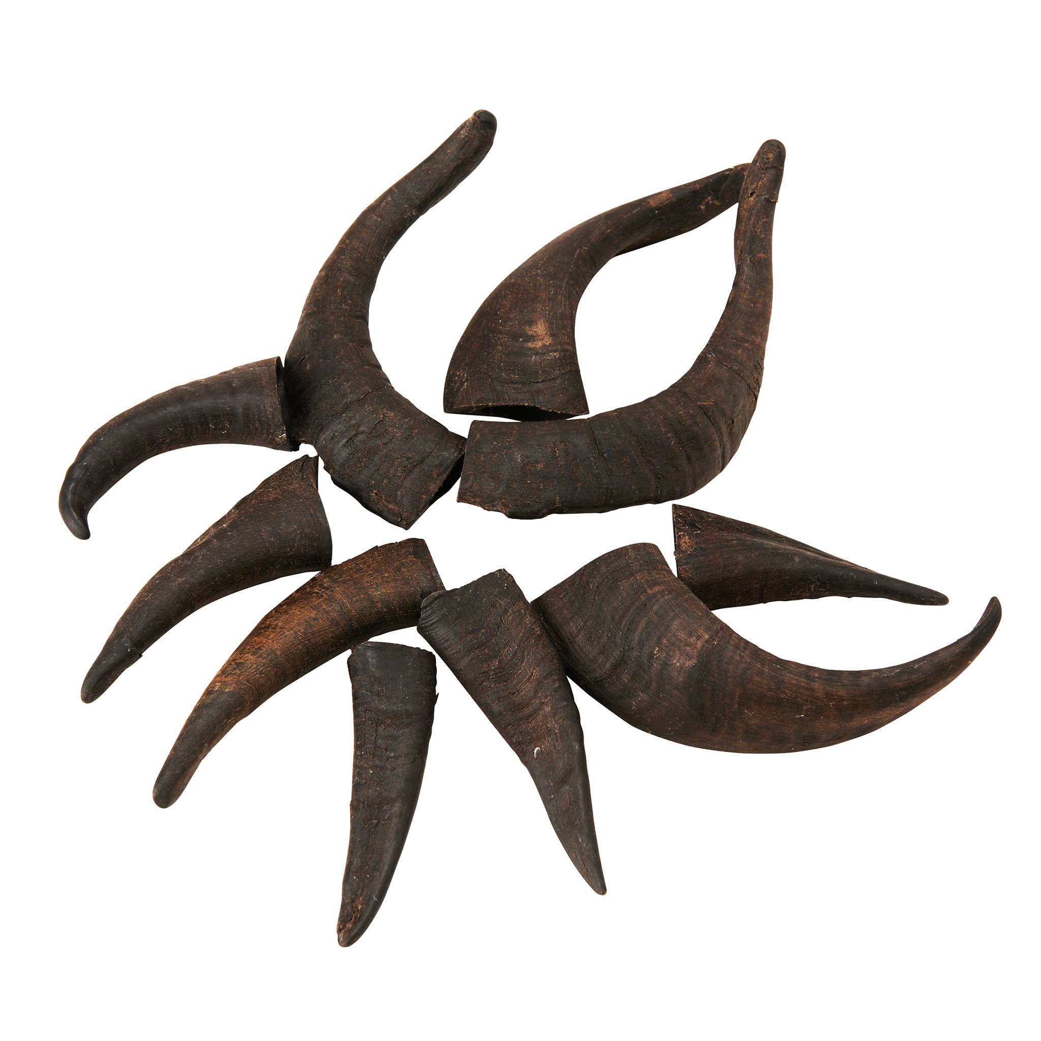 Rozie's Naturals - Wholesale Pet Treats - Dog - MOUNTAIN GOAT HORN-100% Natural Dog Treat & Chews,Grain-Free1