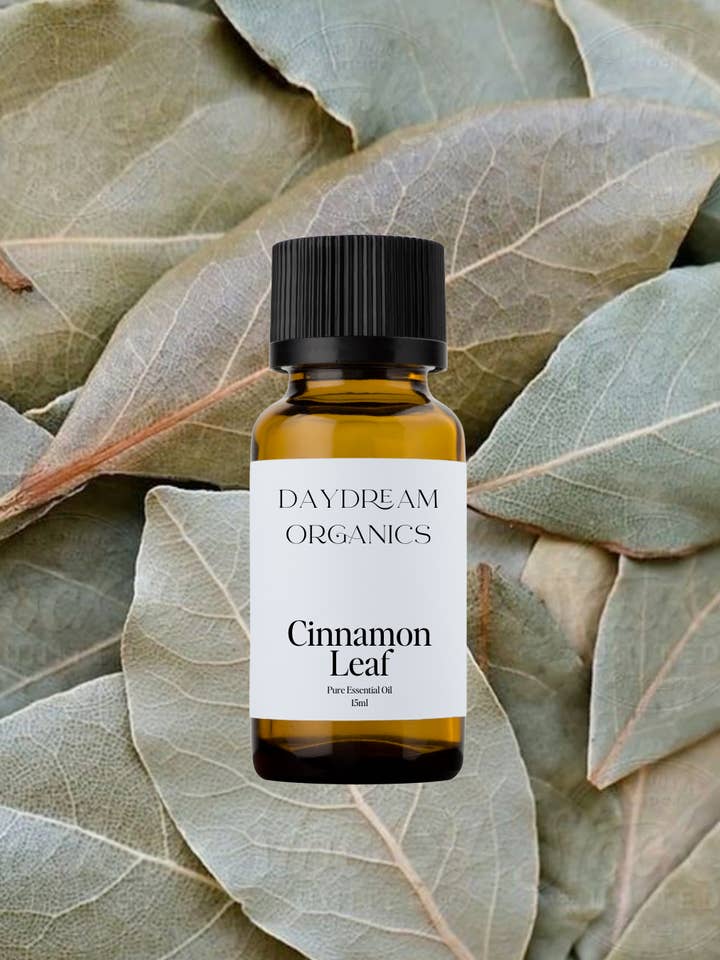 Cinnamon Leaf Essential Oil for wholesale by Daydream Organics | Prairie Doctor Brand