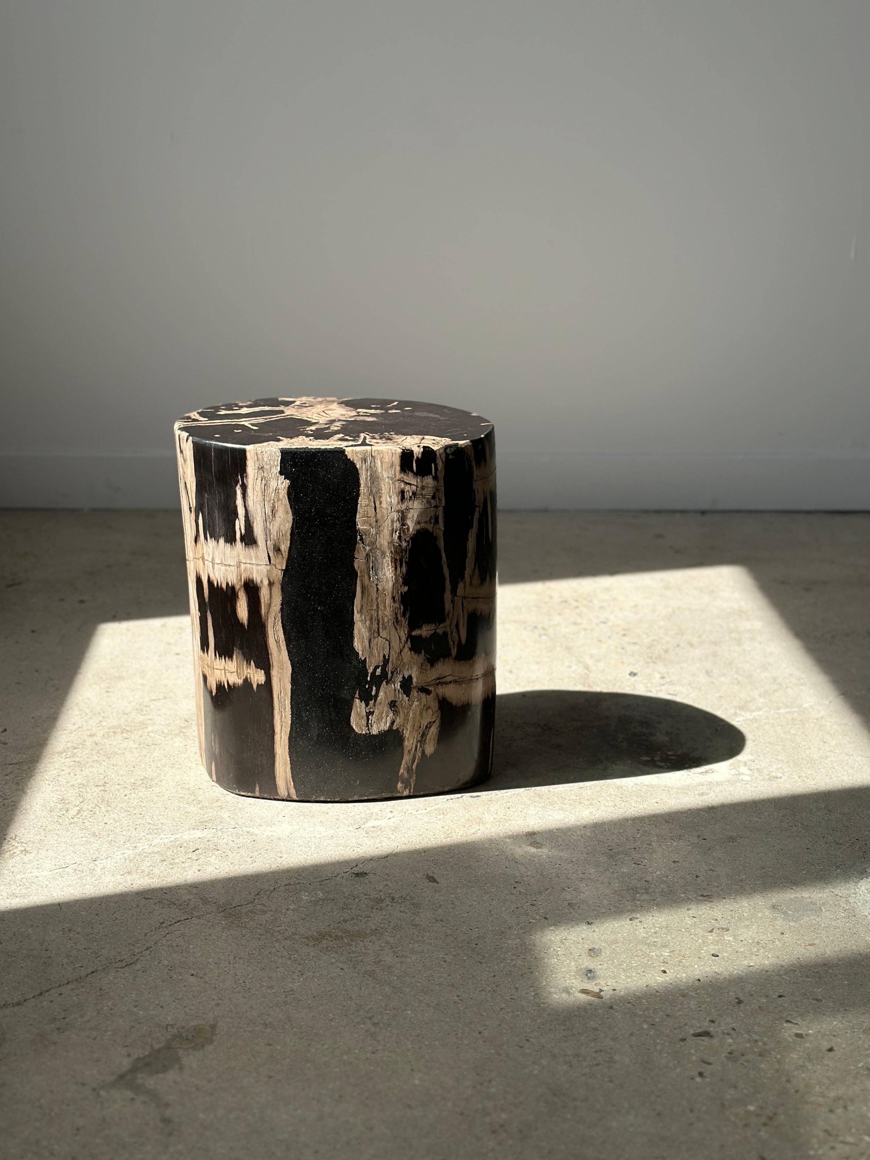 Office Objets - Vente Tables d'appoint - Table d'appoint en bois pétrifié47