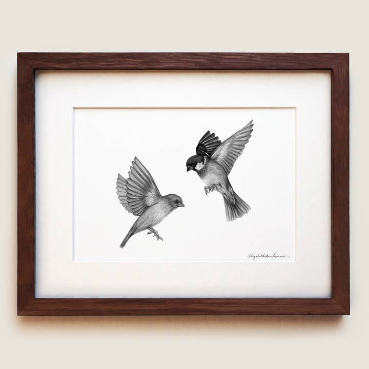 House Sparrows | Fine Art Print for wholesale by ElizabethAnnFrancis
