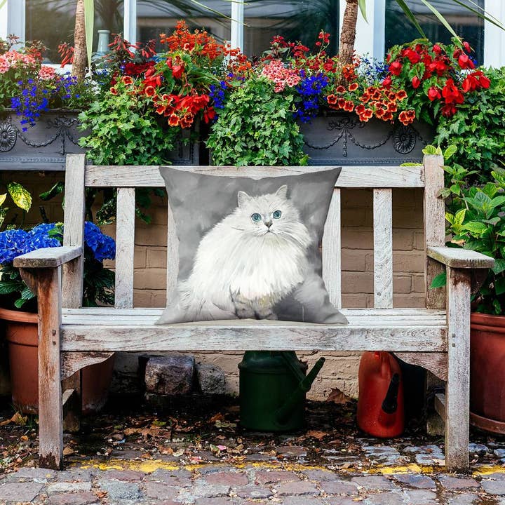Cinza Gato persa chinchila | Capa de almofada externa 20 “x 20" para venda a revendedores na Faire