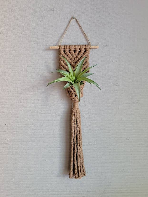 Air Plant Hanger - Corded Mermaid Tail - Mocha for wholesale by Mother of Pearl Handmade Goods