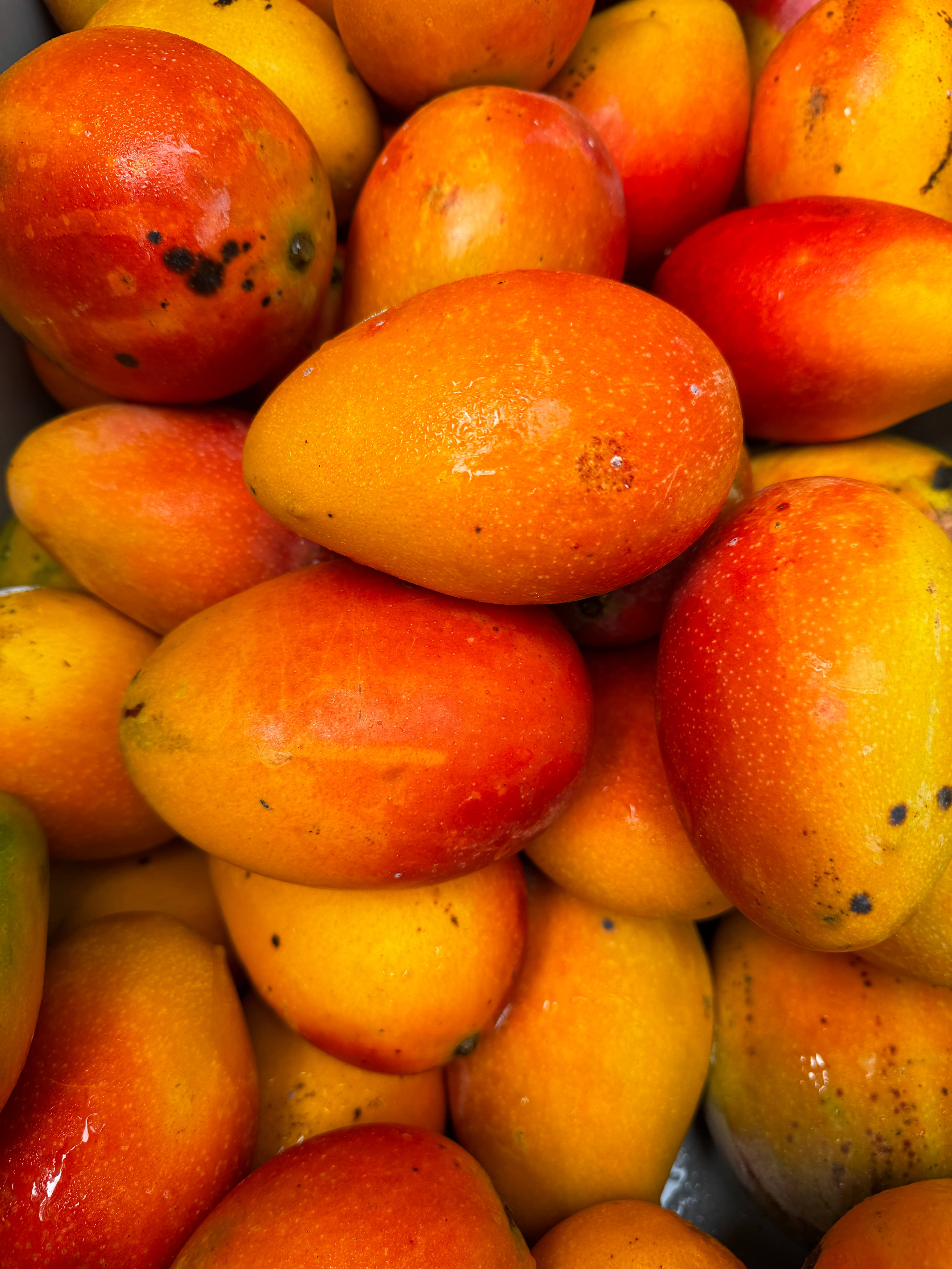 Aloha Bites - Wholesale Jam - Aloha Bites Mango Jam1