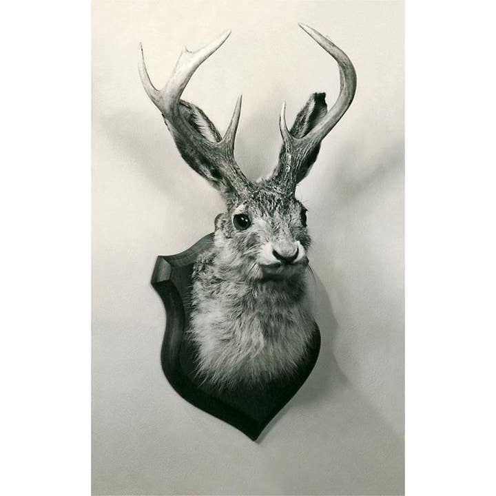 Found Image Press - Wholesale Magnet - Magnet AA-130 Stuffed Jackalope