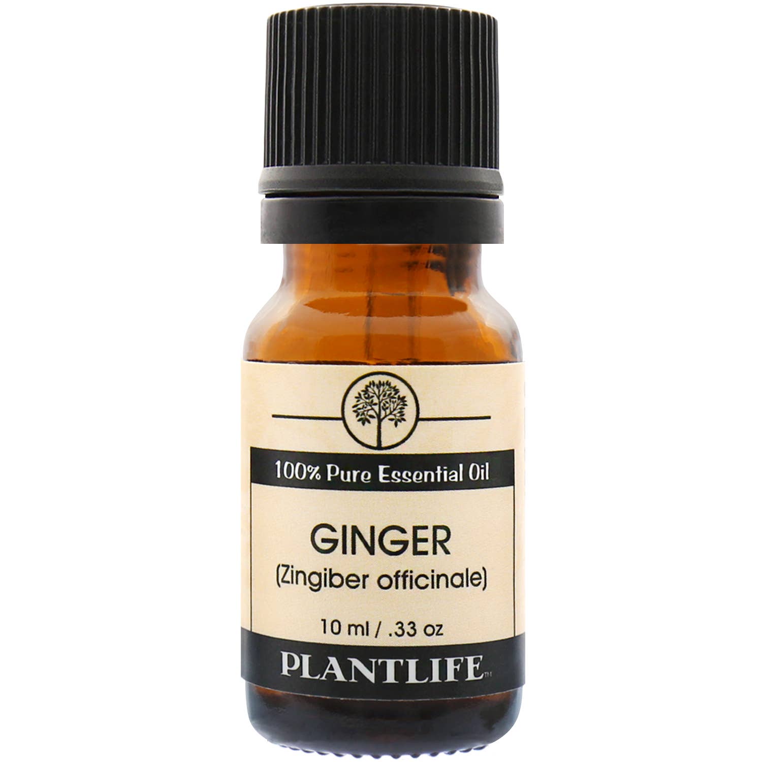 Plantlife - Wholesale Essential Oil - Ginger Essential Oil0