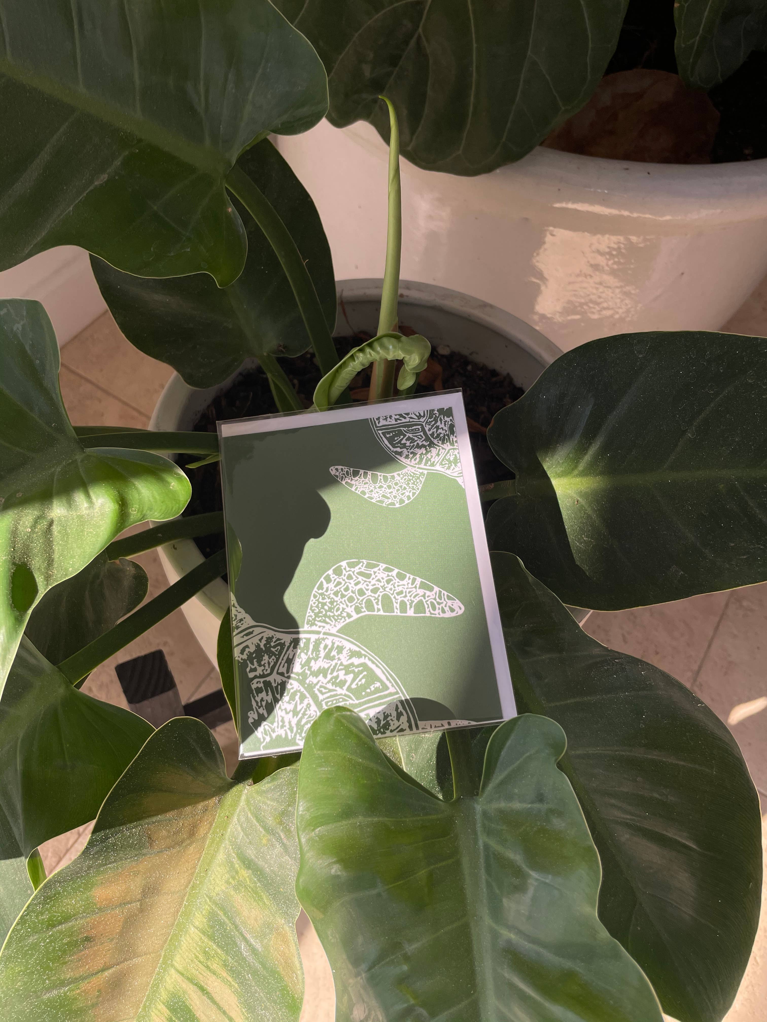 Schorrline Design - Wholesale Everyday Greeting Card - Local Hawaii Greeting Cards12