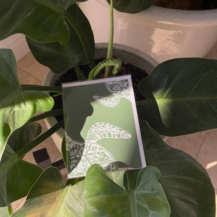 Schorrline Design - Wholesale Everyday Greeting Card - Local Hawaii Greeting Cards12