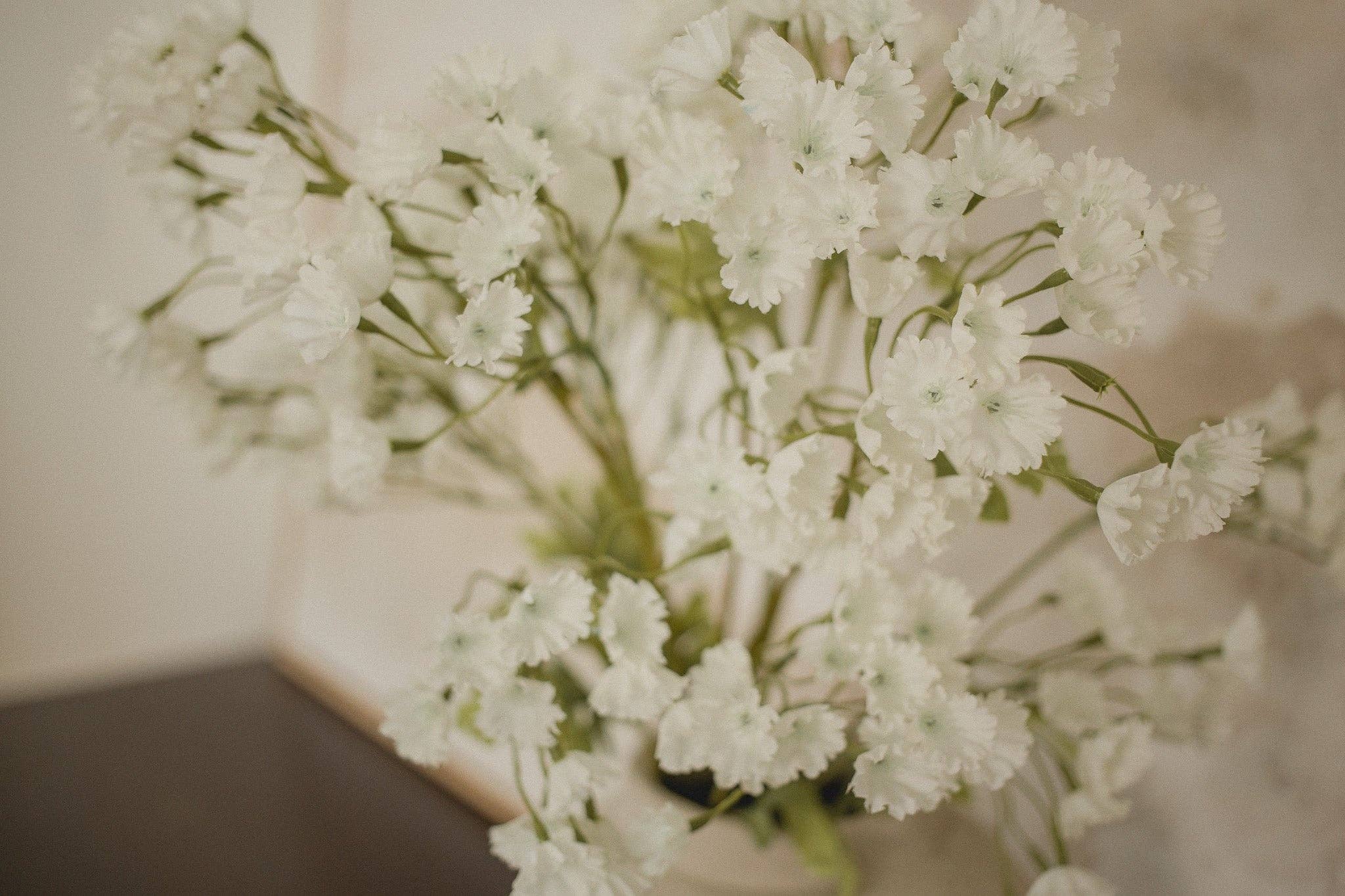 Eucalypt Co. - Wholesale Artificial Flowers - Gypsophila Elegan - Babies breath2