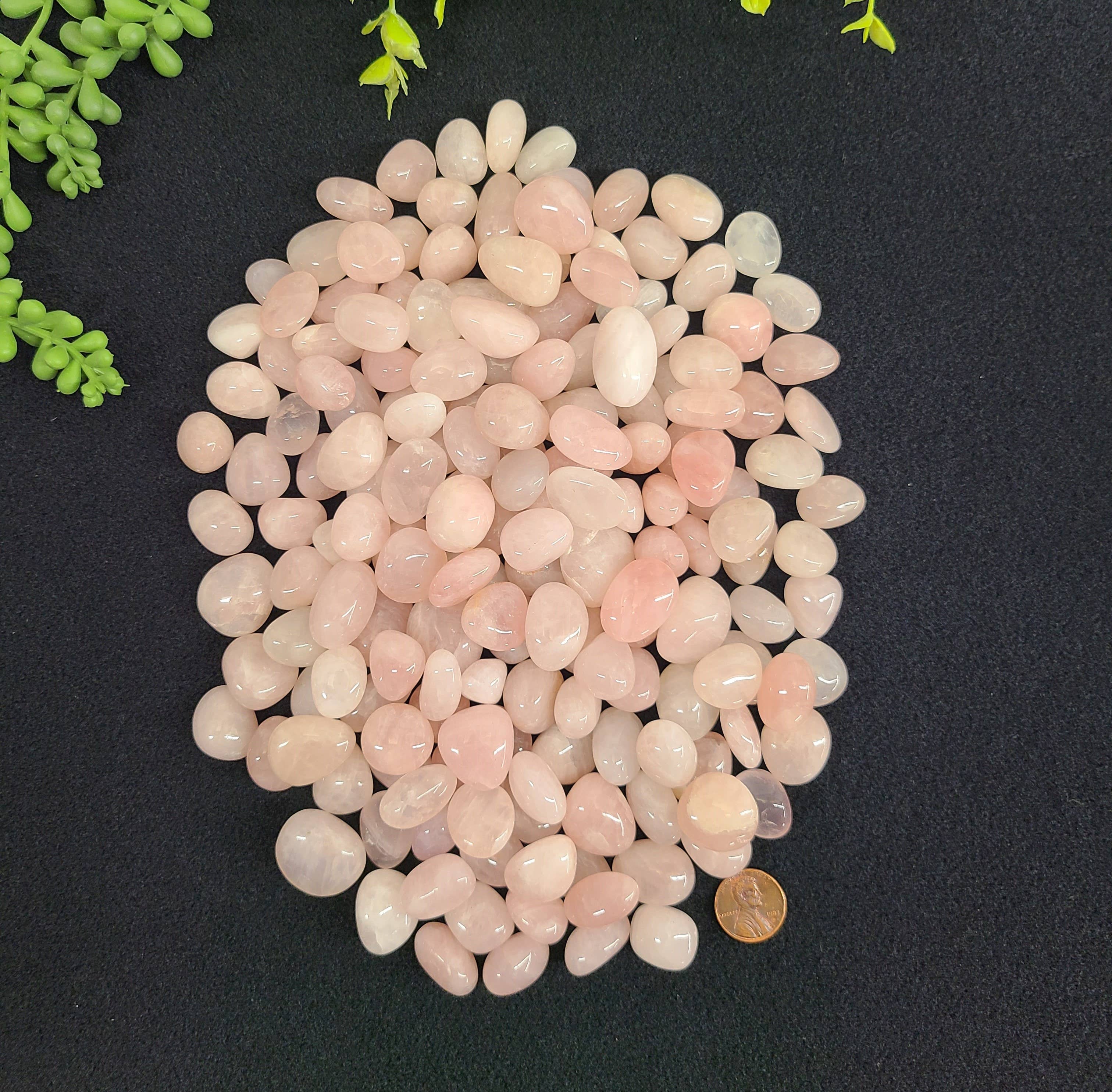 Meraki Gemstones - Wholesale Spiritual Stone/Crystal - Rose Quartz Tumbled (1kg/2.2 lbs.) Stone 20-25mm2